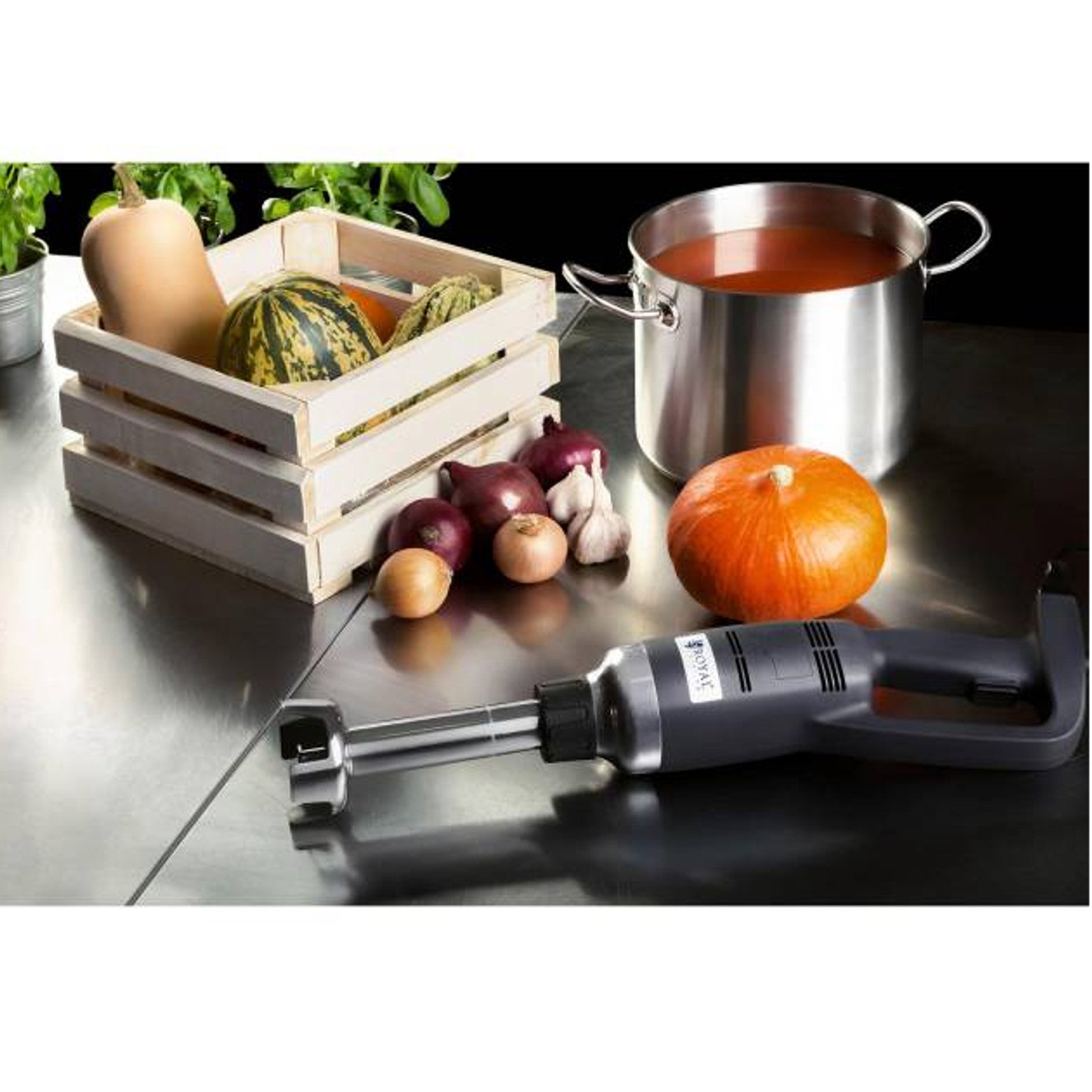 Food Mixers & Blenders – Powerful mixer blender hand robot - Carlat