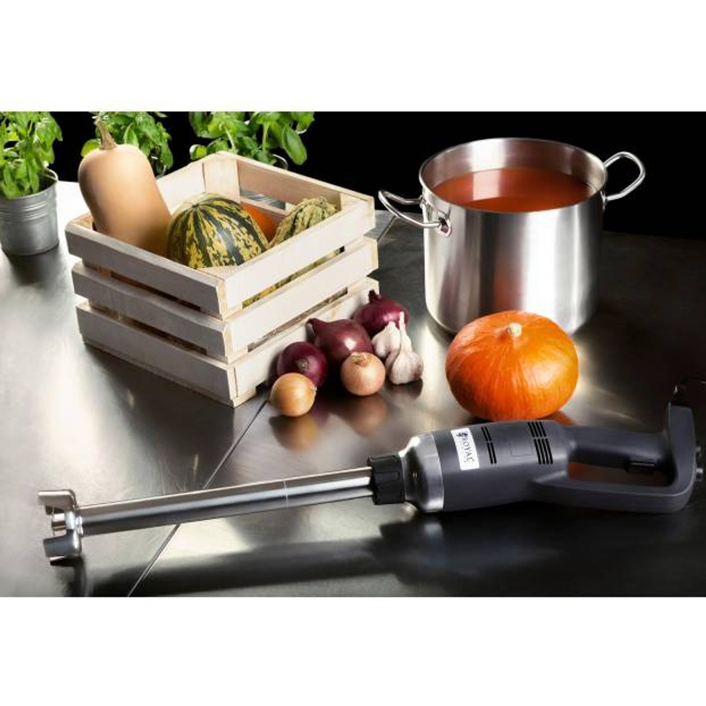 Food Mixers & Blenders – Powerful mixer blender hand robot, - Carlat