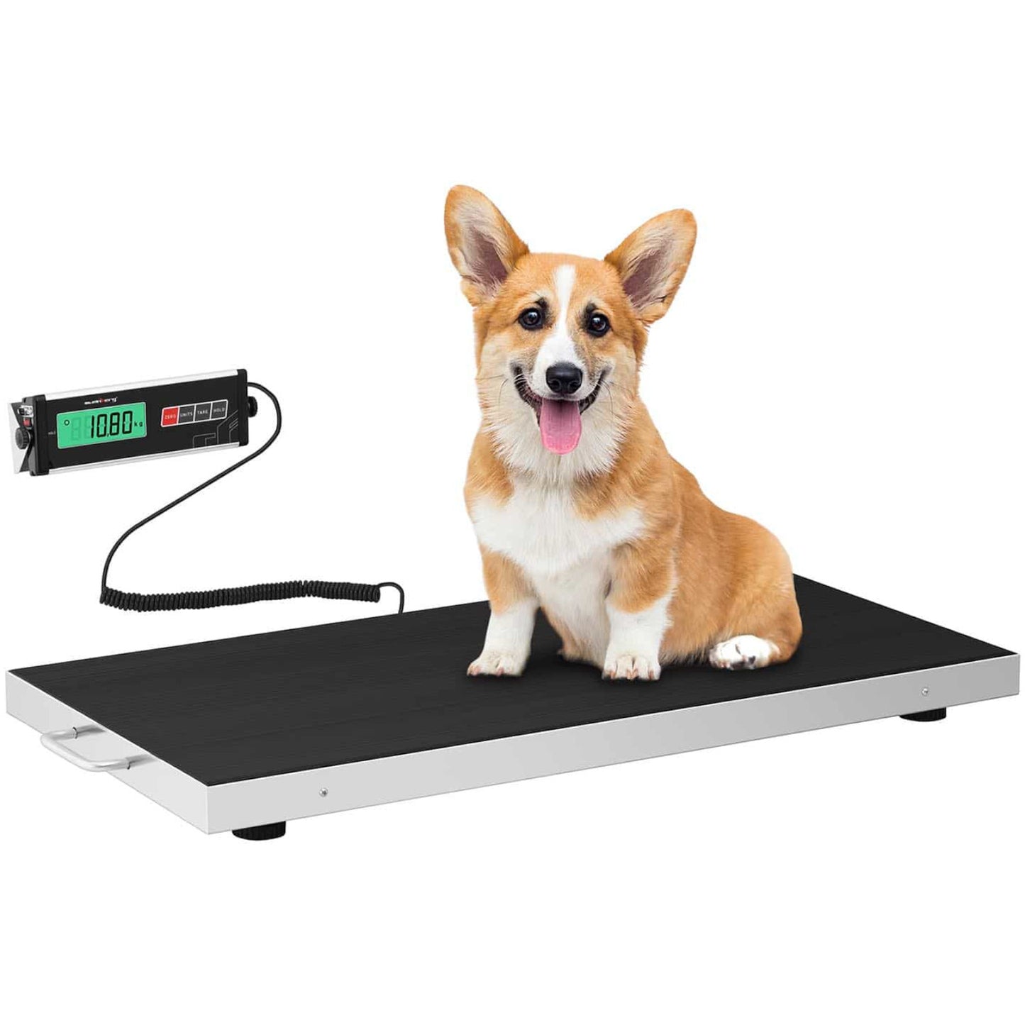 Food Service – Veterinary platform scale 95x50cm for animals 150kg - Carlat