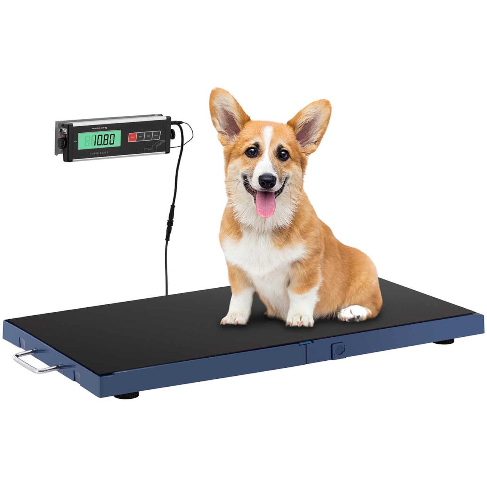 Food Service – Veterinary platform scale for animals 96.5 x - Carlat