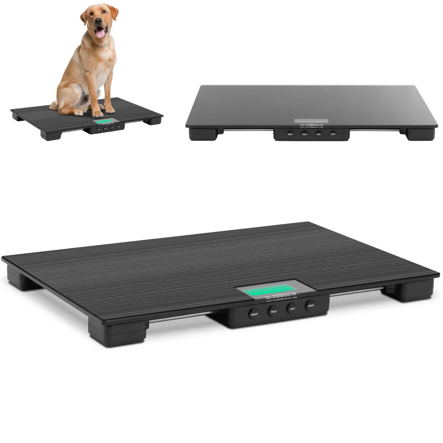 Food Service – Veterinary platform scale for animals 96.5 x - Carlat