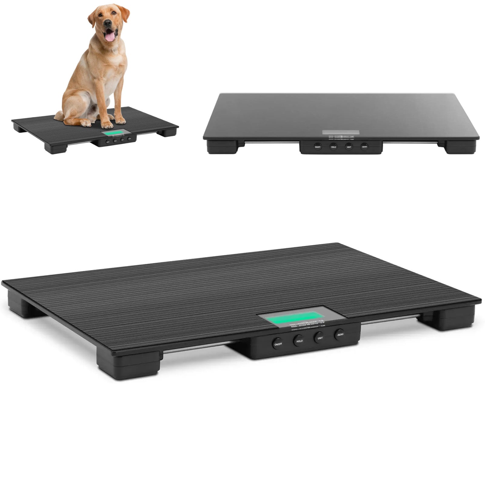 Food Service – Veterinary platform scale for animals 96.5 x - Carlat