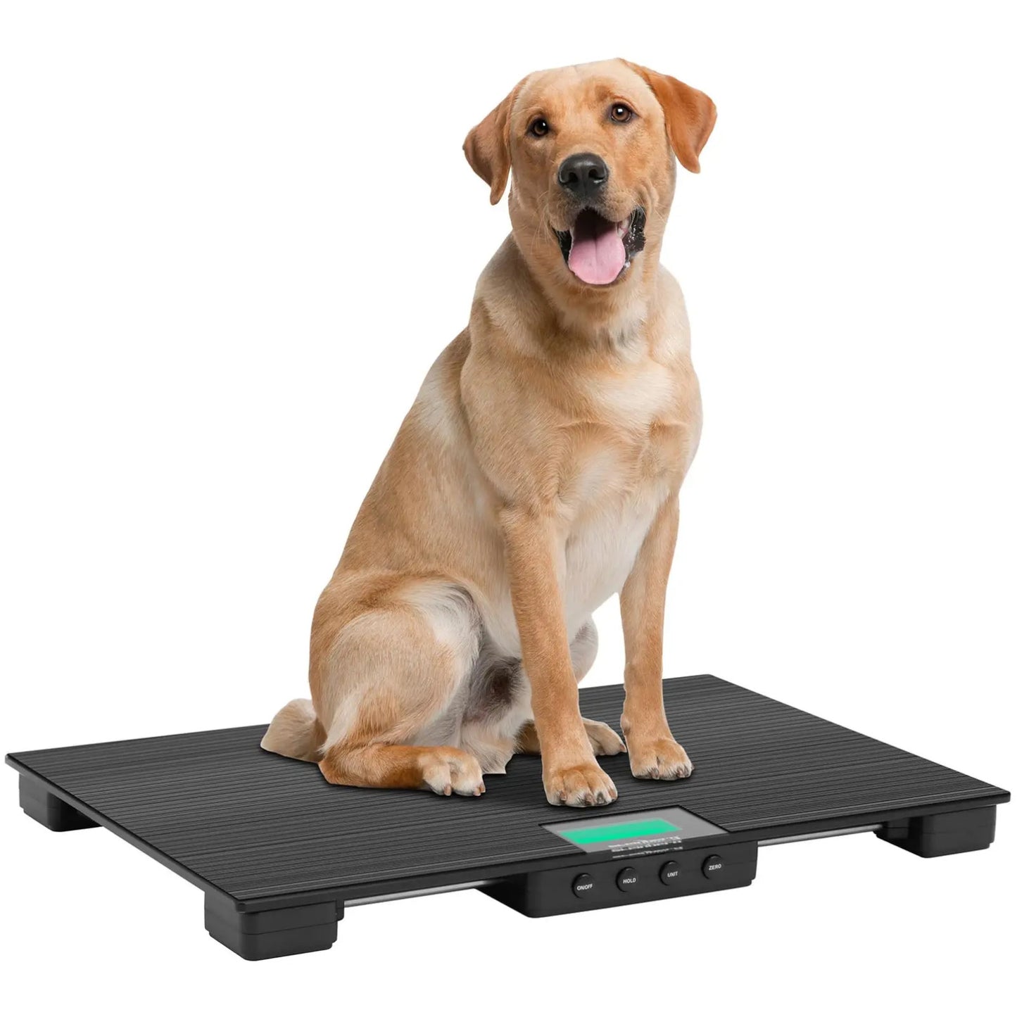 Food Service – Veterinary platform scale for animals 96.5 x - Carlat