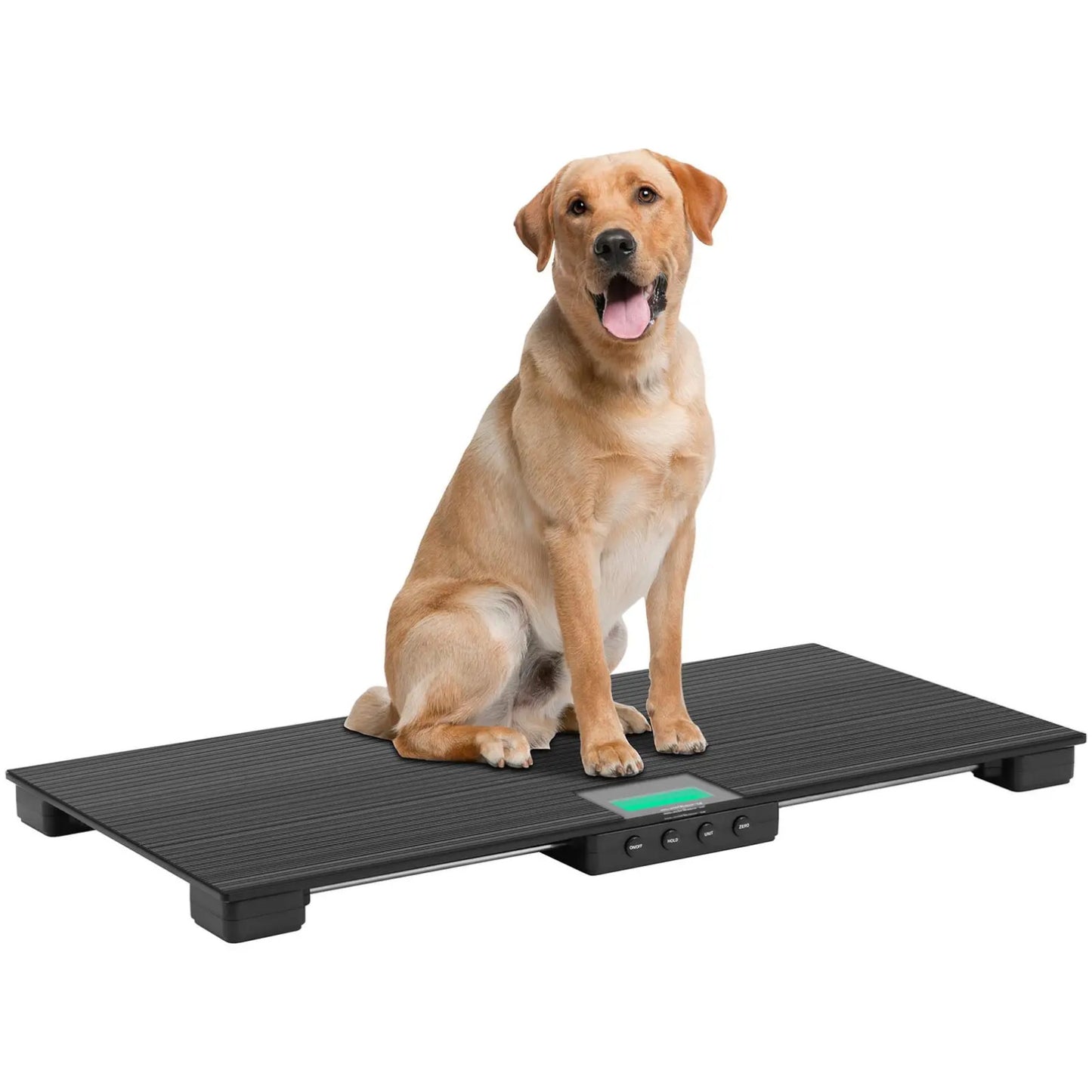 Food Service – Veterinary platform scale for animals 96.5 x - Carlat