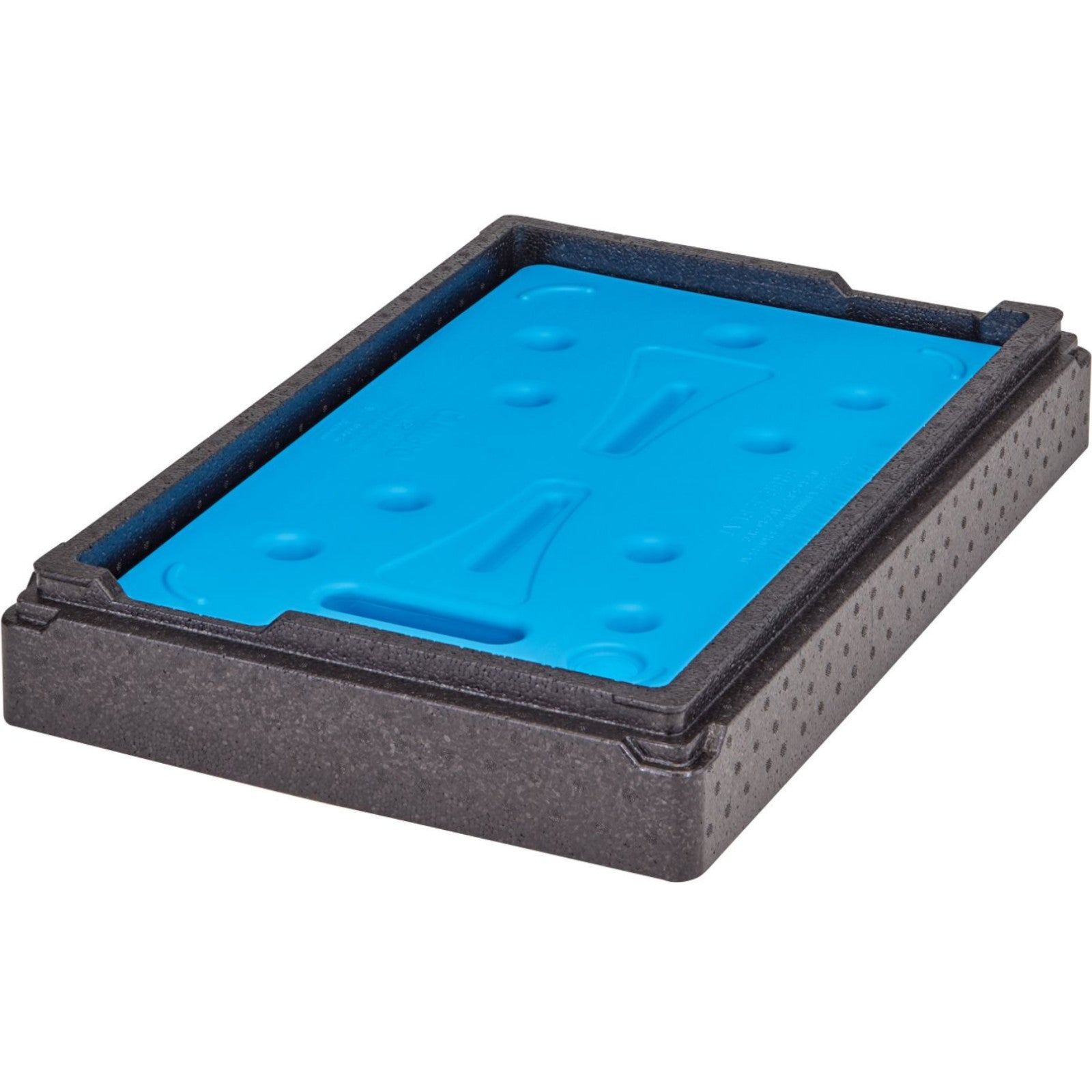 Food Storage Containers – Adapter for Camchiller GN cooling insert - Carlat