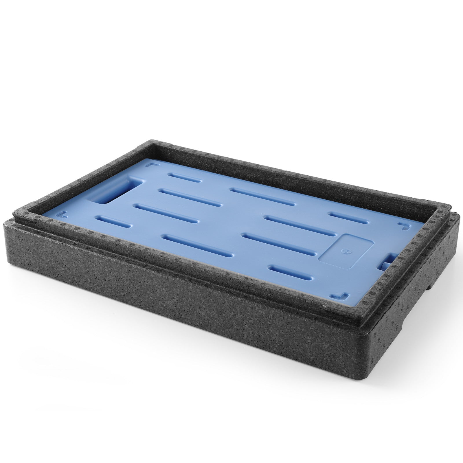 Food Storage Containers – Adapter for GN 1/1 cooling element - Carlat