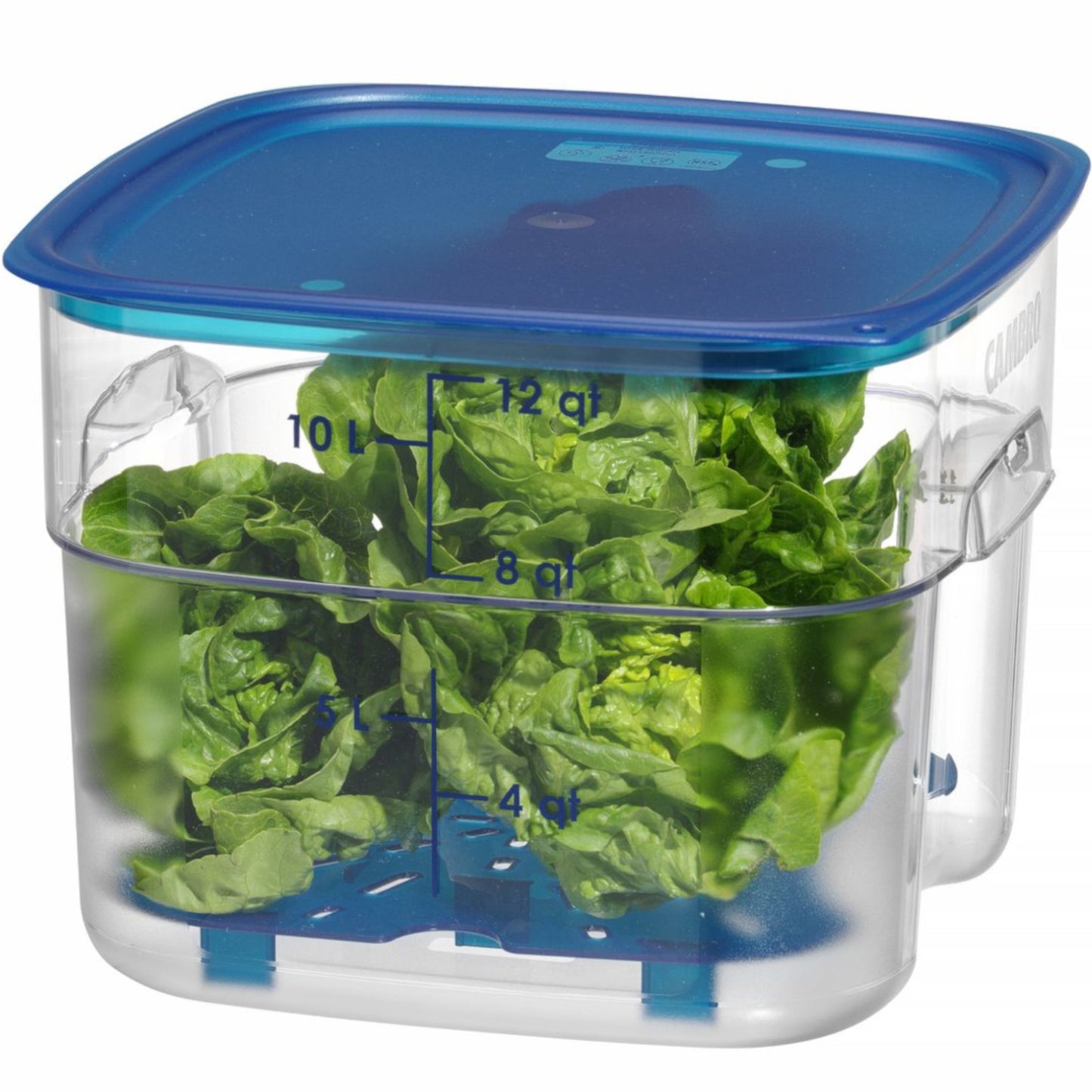 Food Storage Containers – CamSquares Fresh Pro food container 11.4 - Carlat