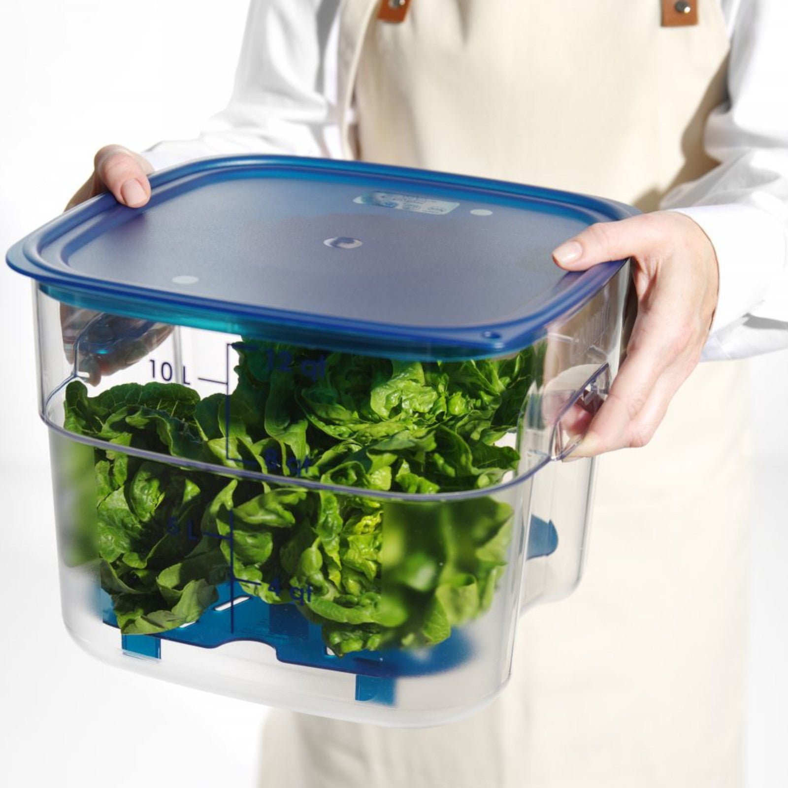Food Storage Containers – CamSquares Fresh Pro food container 11.4 - Carlat
