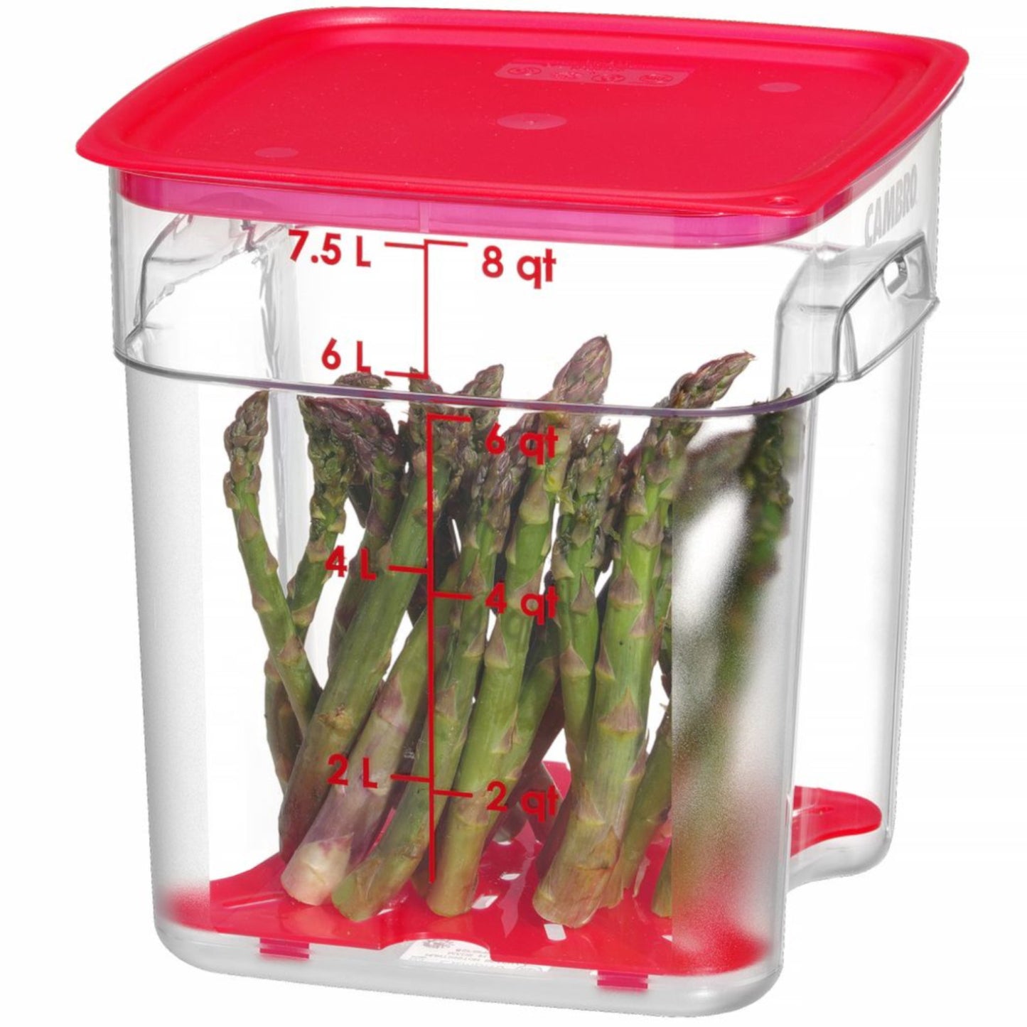 Food Storage Containers – CamSquares Fresh Pro food container 7.6 - Carlat