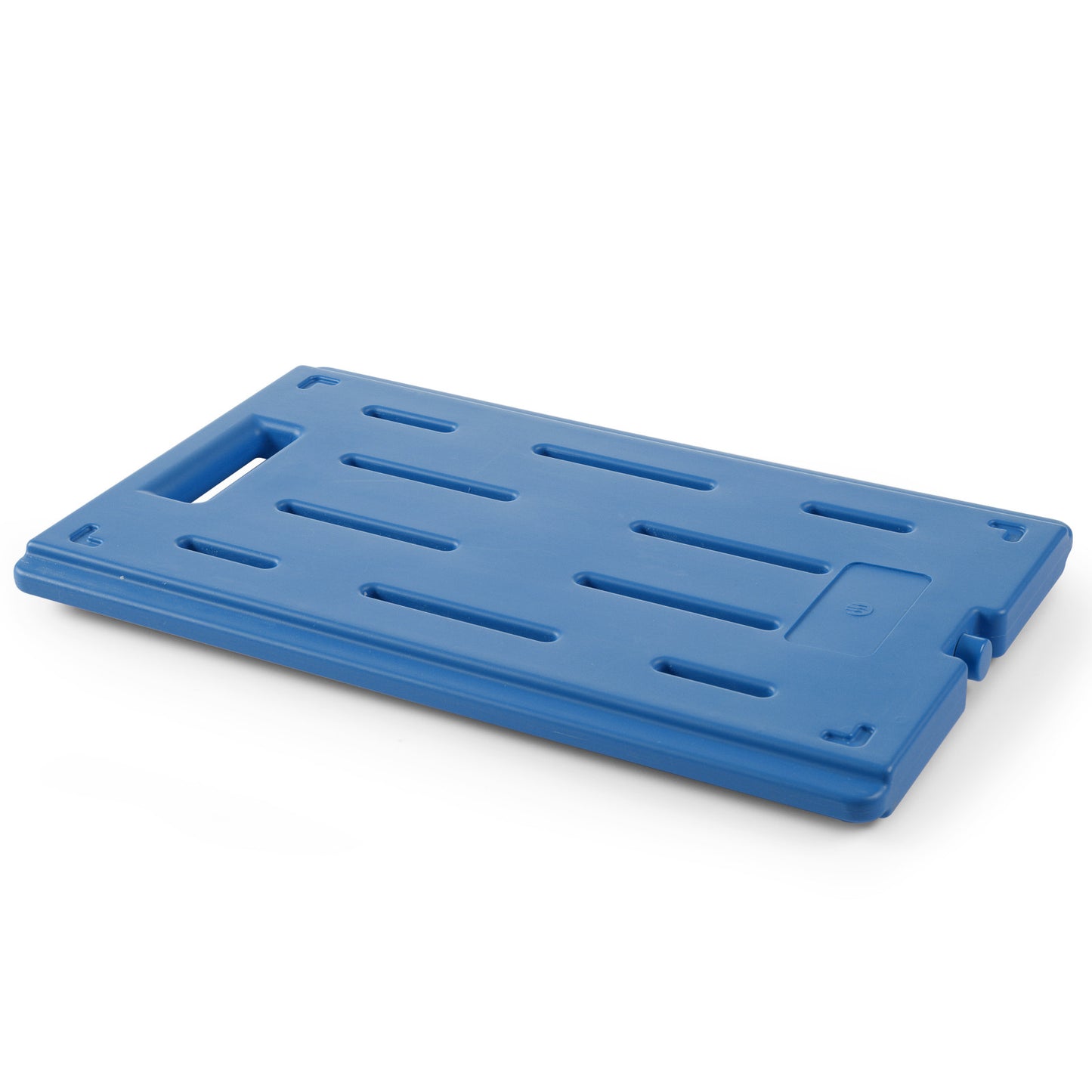 Food Storage Containers – Cooling element GN 1/1 for thermo-insulated - Carlat
