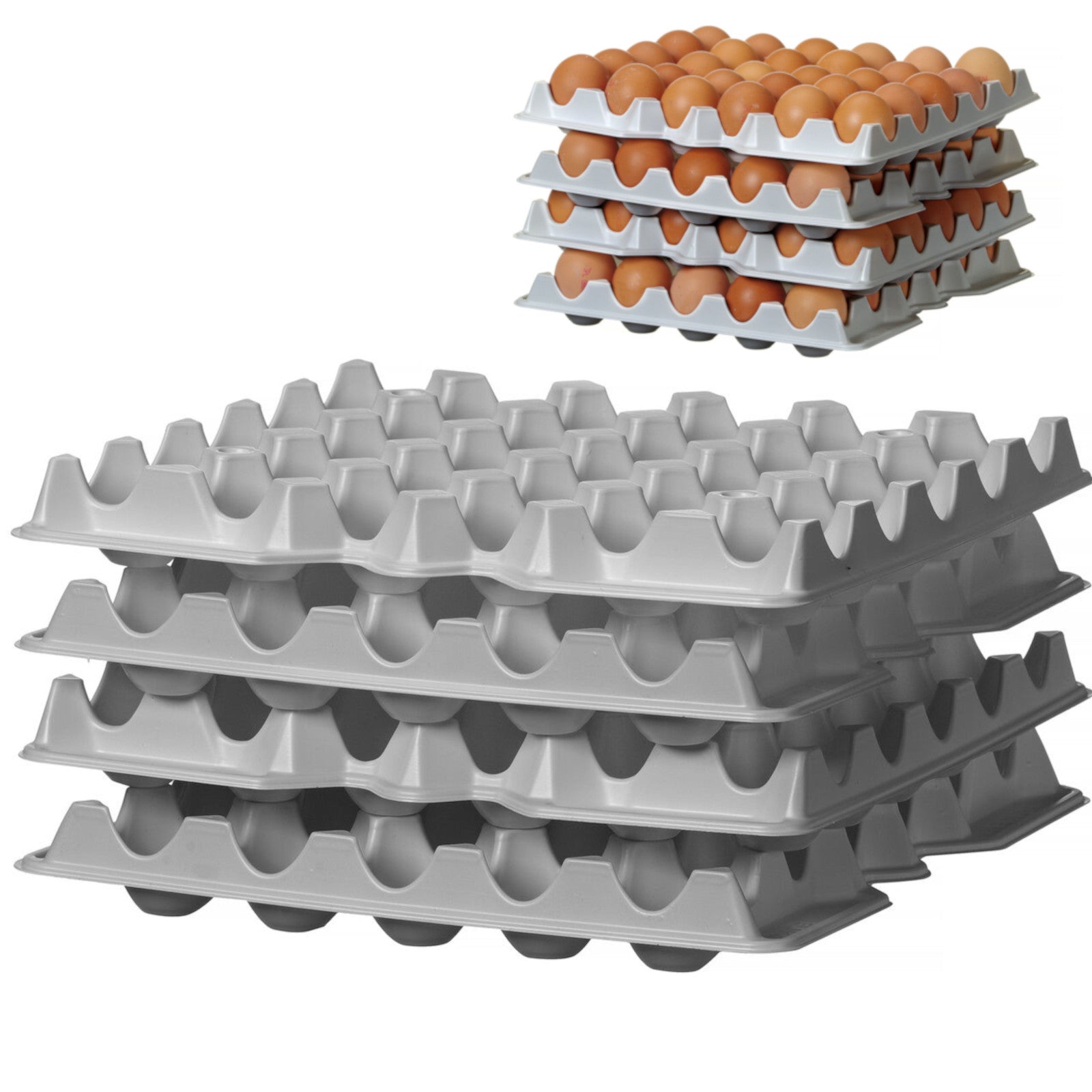 Food Storage Containers – Egg tray for OVOBOX 120 container - Carlat