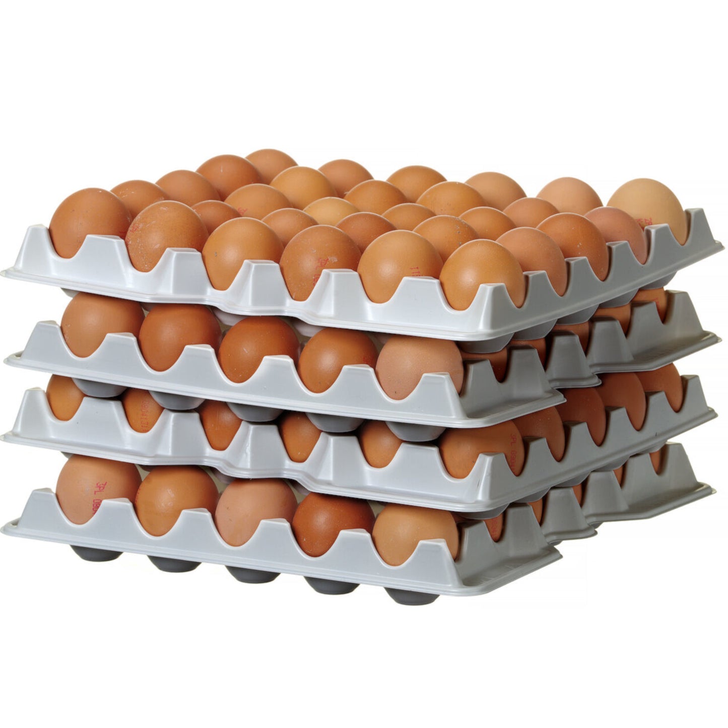 Food Storage Containers – Egg tray for OVOBOX 120 container - Carlat