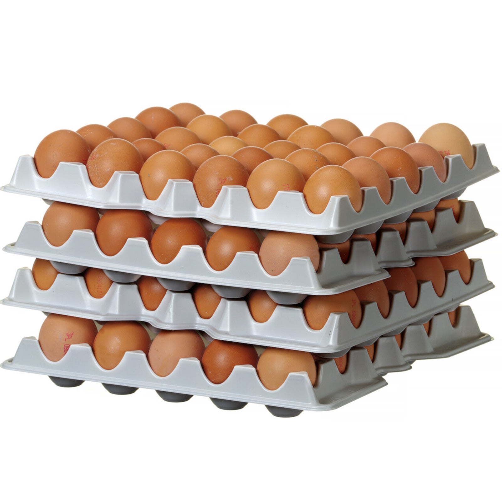 Food Storage Containers – Egg tray for OVOBOX 120 container - Carlat