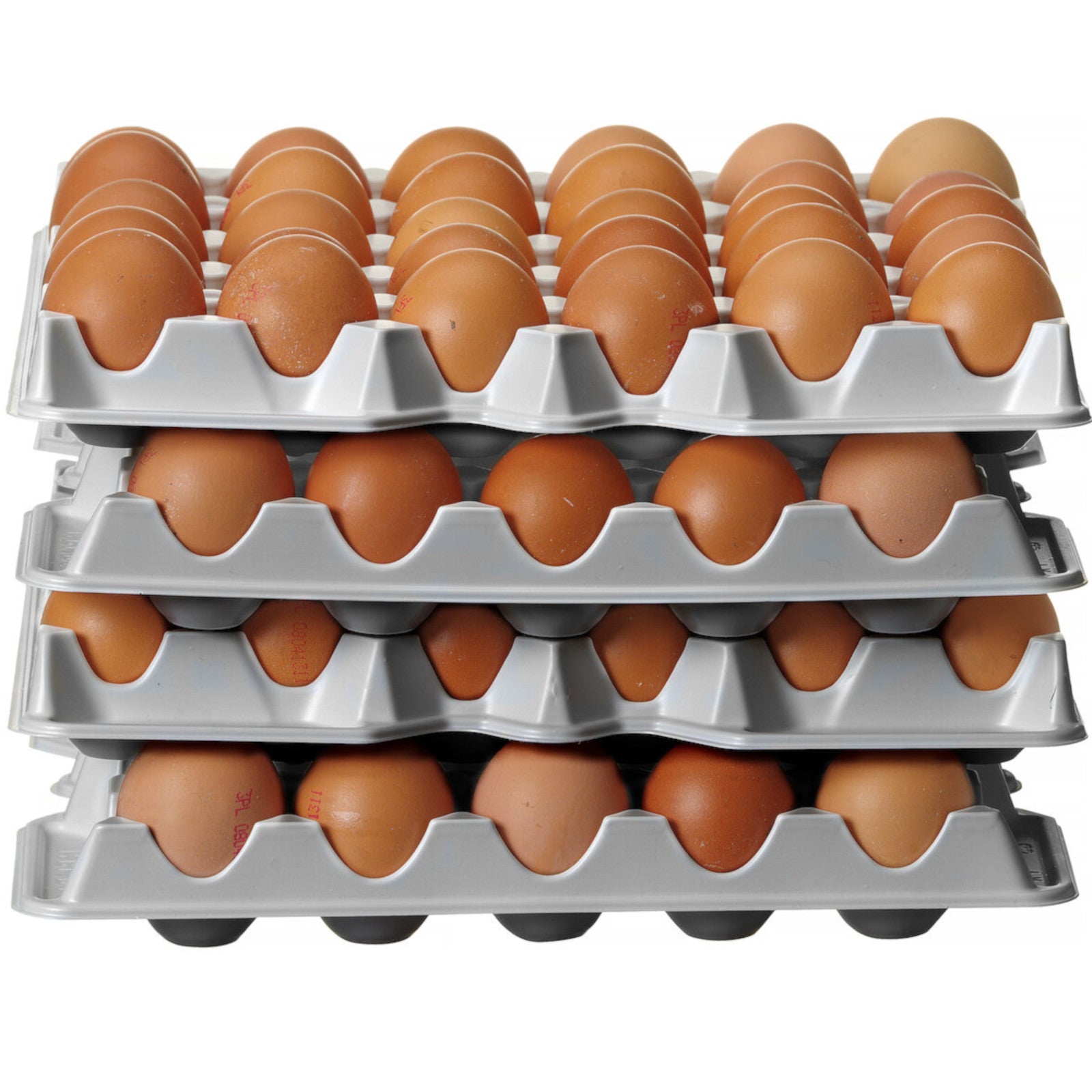 Food Storage Containers – Egg tray for OVOBOX 120 container - Carlat