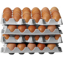 Food Storage Containers – Egg tray for OVOBOX 120 container - Carlat