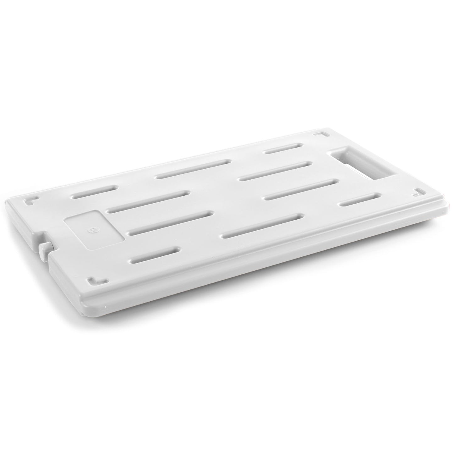 Food Storage Containers – Freezing insert for thermoboxes, insulated containers - Carlat