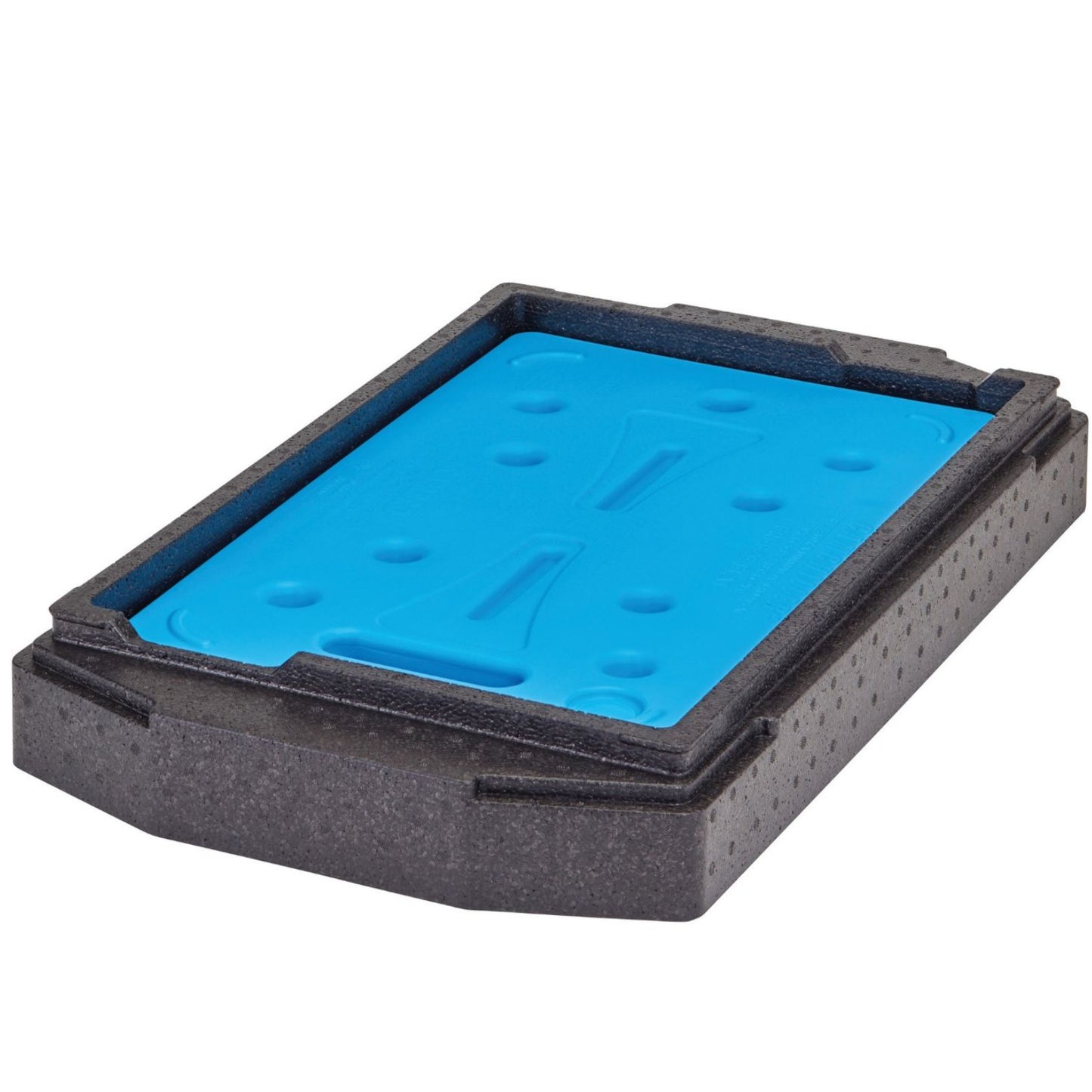 Food Storage Containers – Front-loading thermobox thermobox Cam GoBox for - Carlat