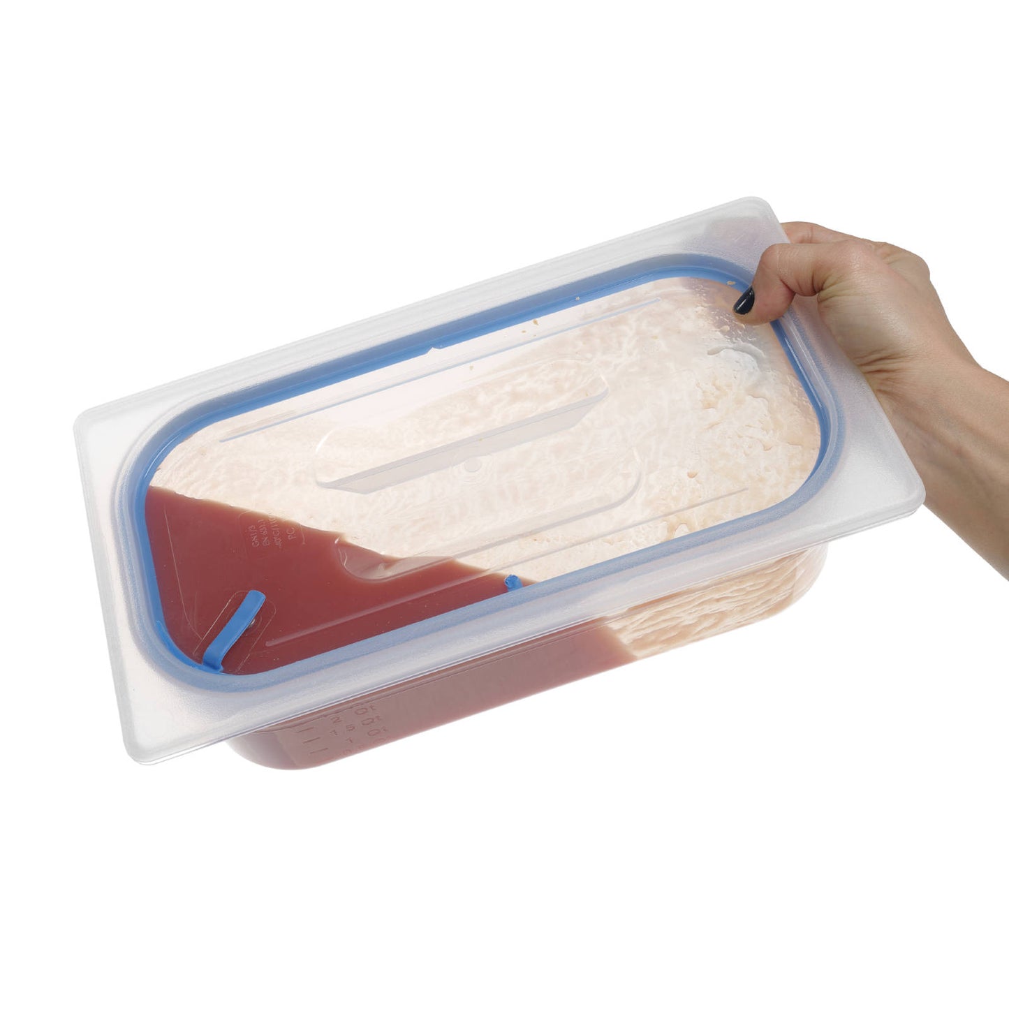 Food Storage Containers – Lid with silicone seal for GN - Carlat