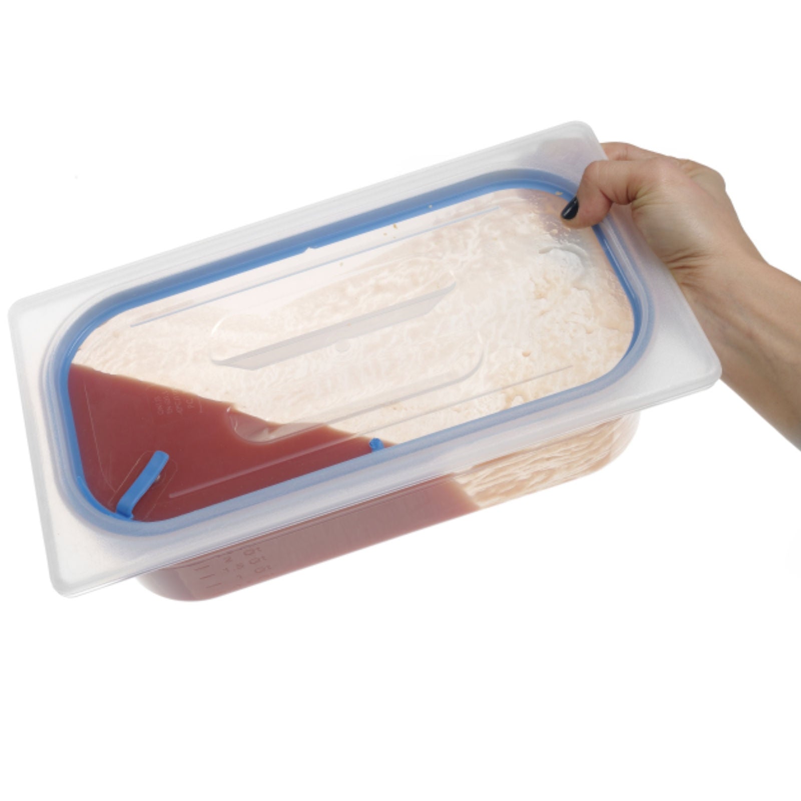 Food Storage Containers – Lid with silicone seal for GN - Carlat