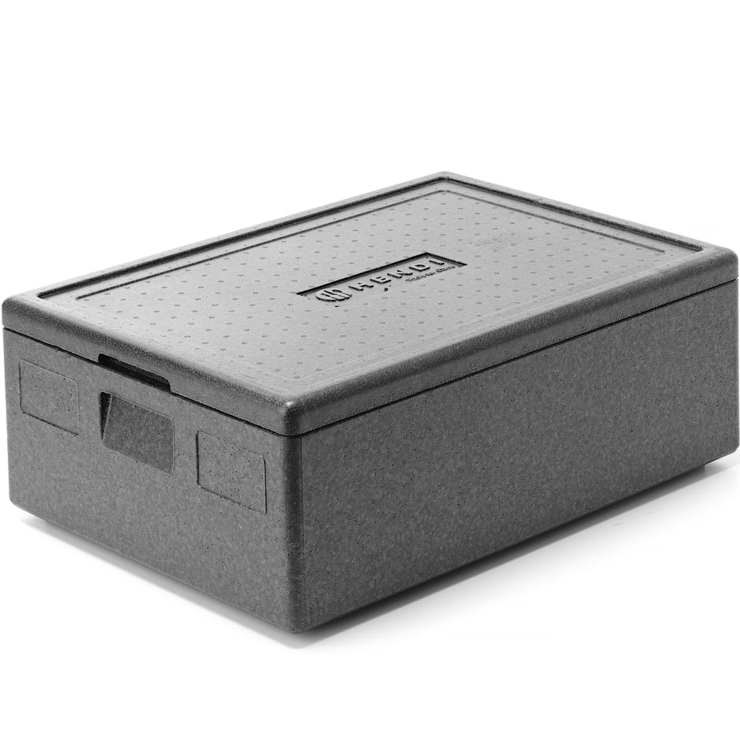 Food Storage Containers – Thermal insulated container Kitchen Line GN - Carlat