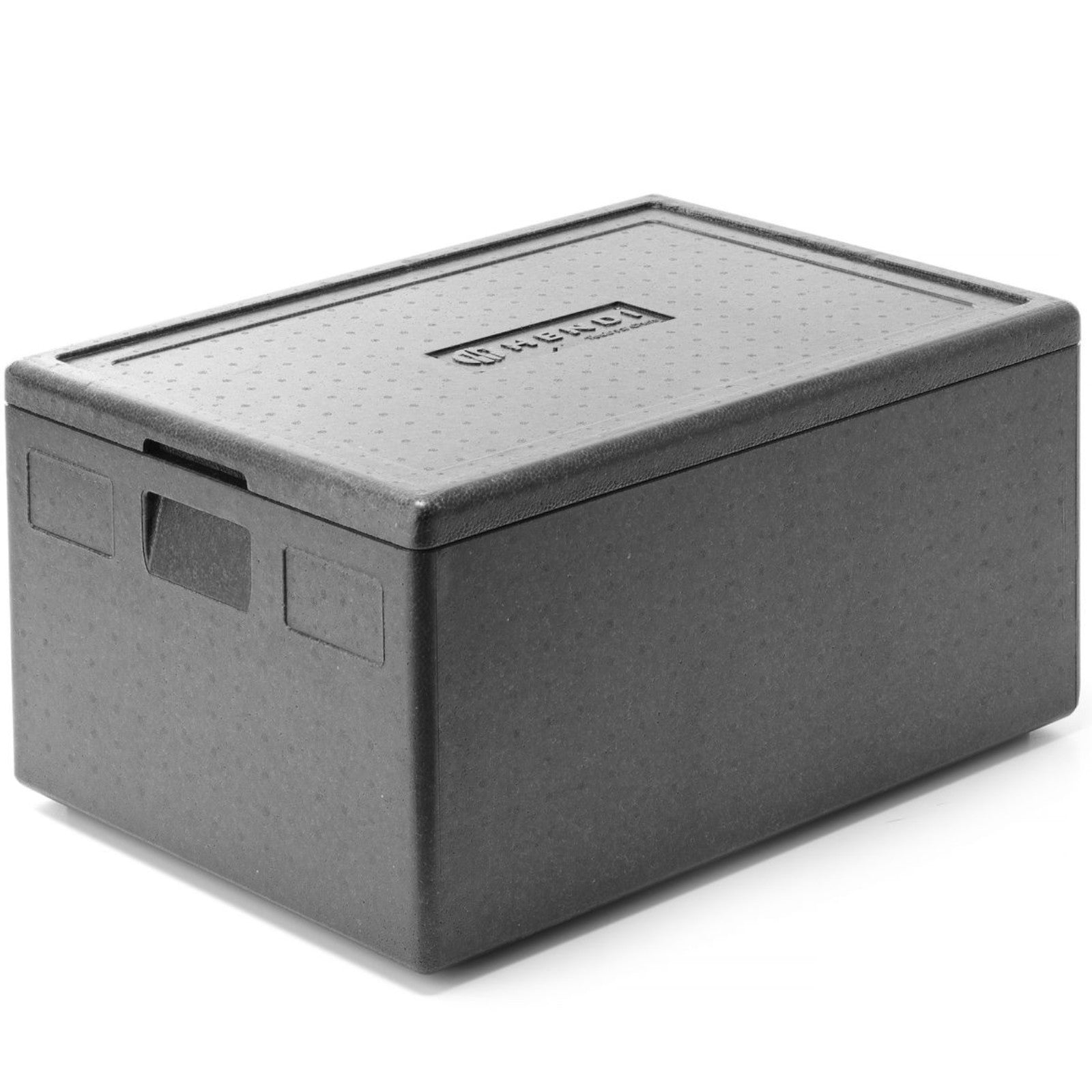 Food Storage Containers – Thermal insulated container Kitchen Line GN - Carlat