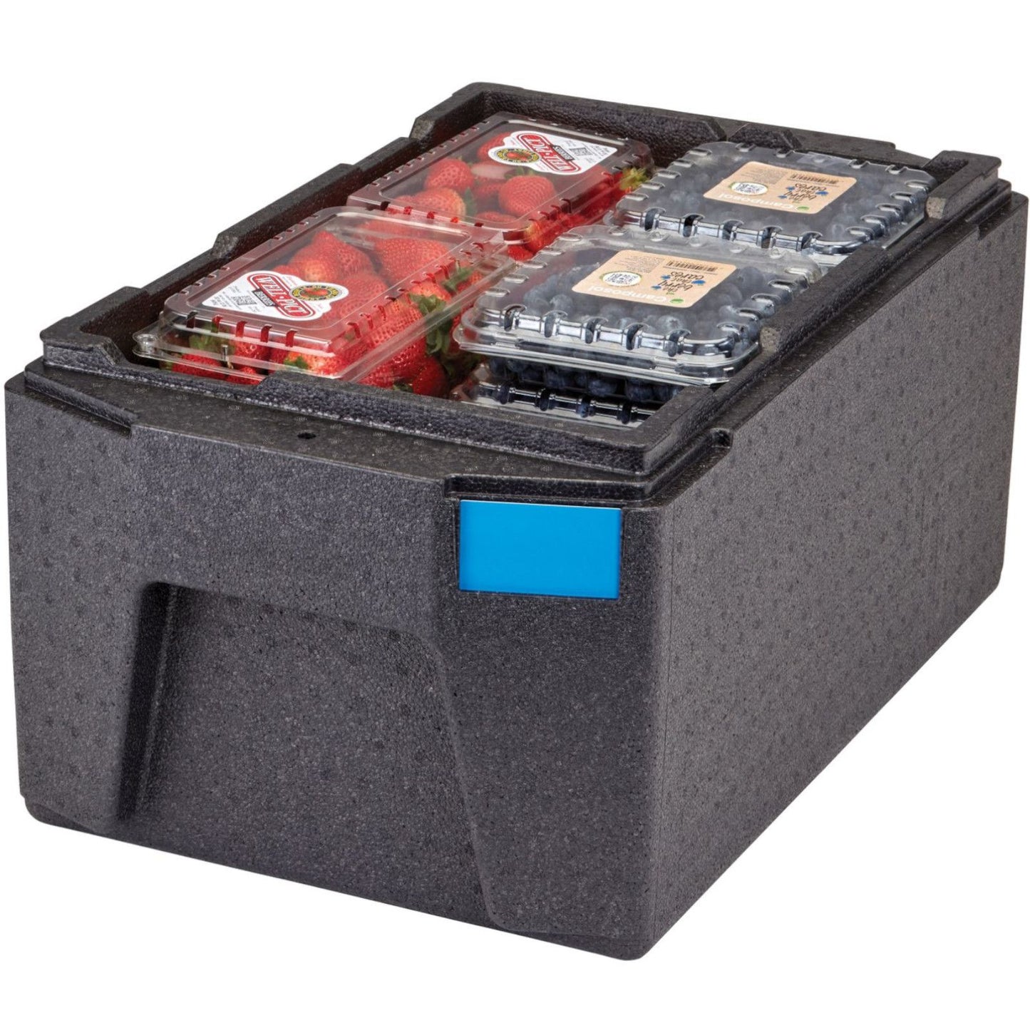 Food Storage Containers – Thermal insulating container thermobox Cam GoBox - Carlat