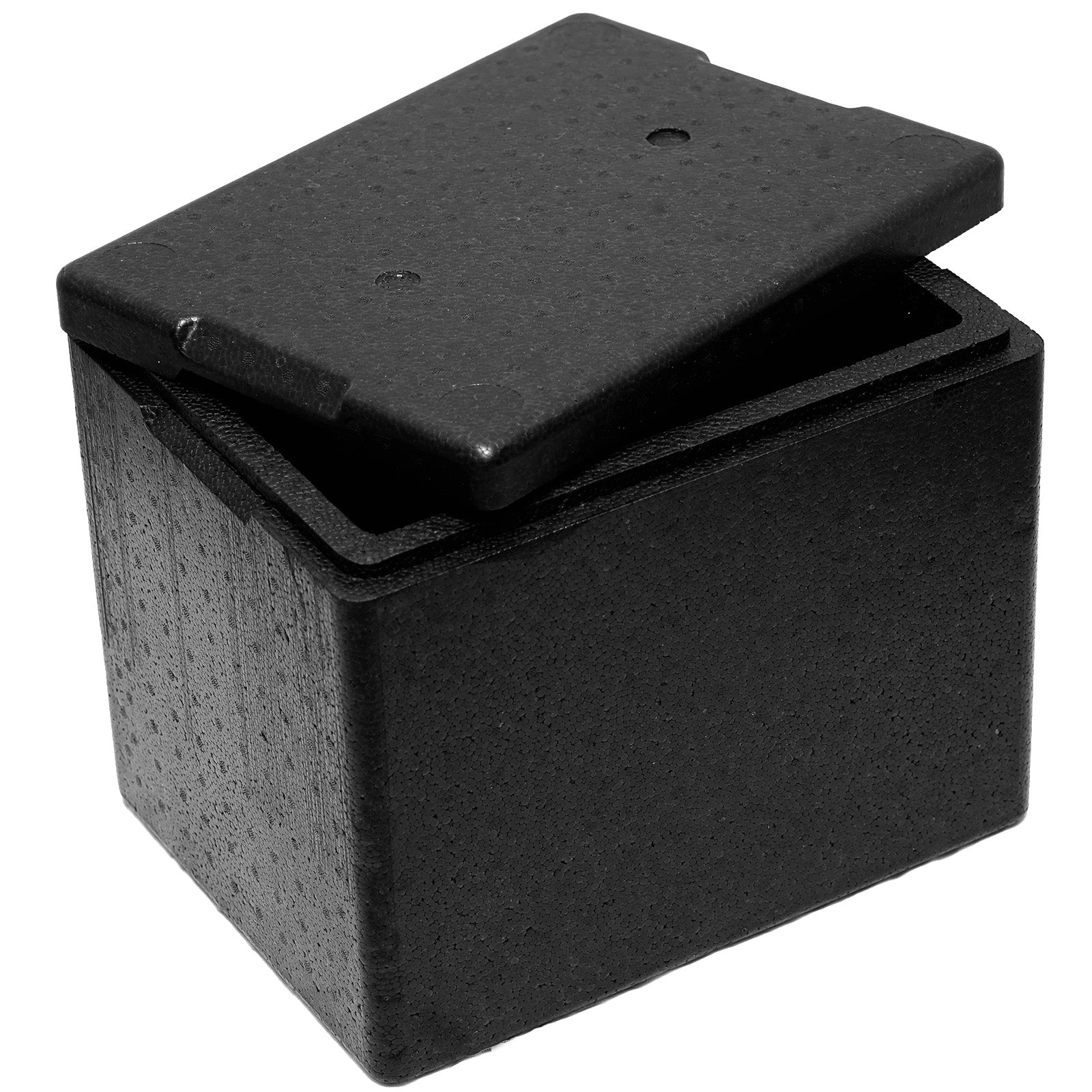 Food Storage Containers – Thermobox Thermal Box with Lid for - Carlat