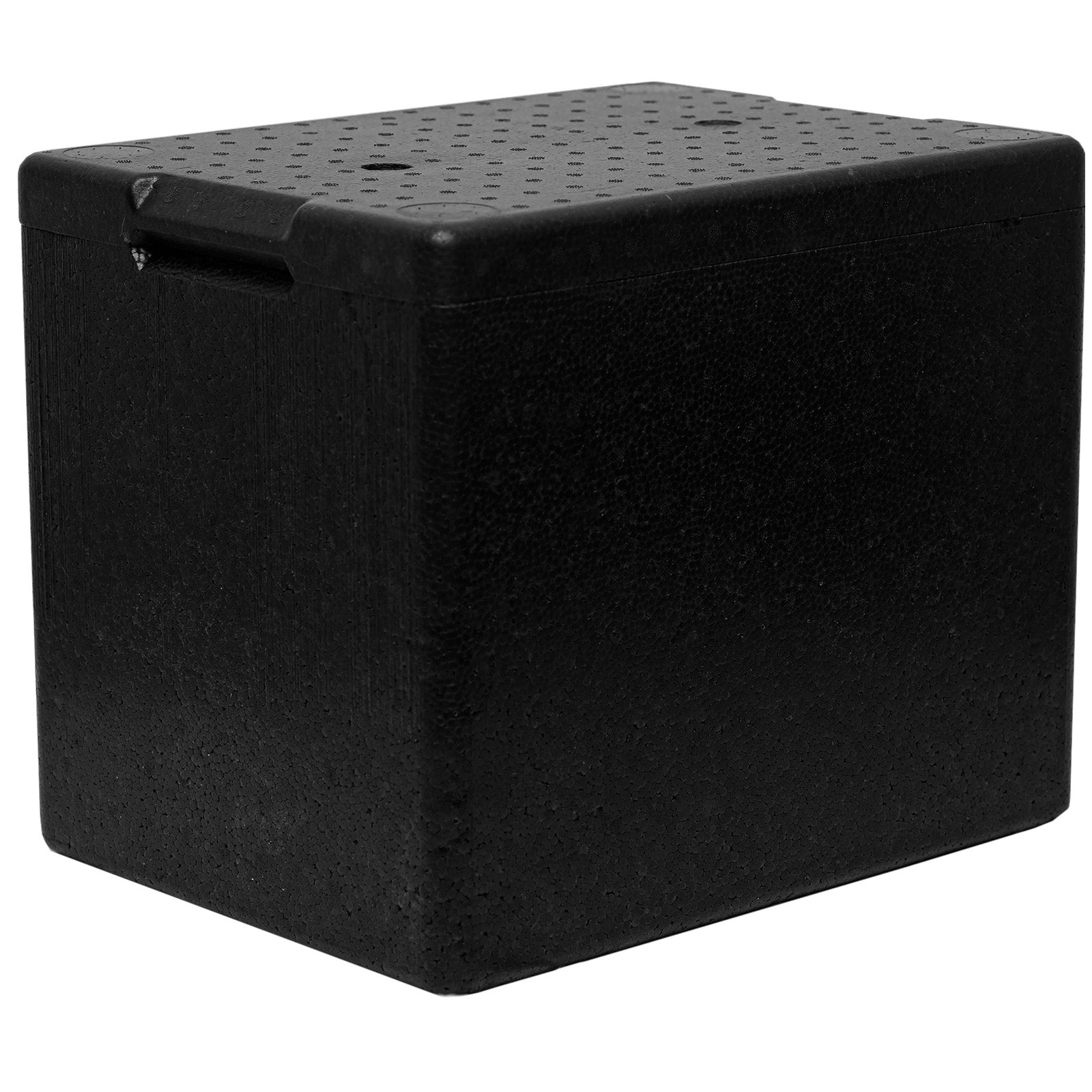 Food Storage Containers – Thermobox Thermal Box with Lid for - Carlat