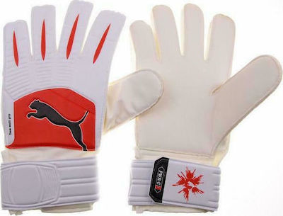 Football goalkeeper gloves Puma PowerCat 10 - Carlat