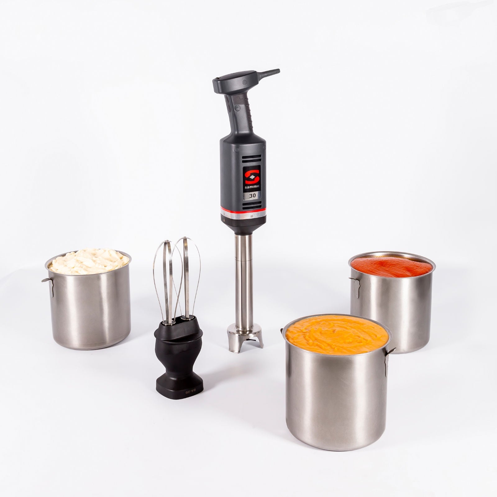 Hand blender mixer with mixing and punching arm MB-31 570 W - Sammic 3030676 - Carlat