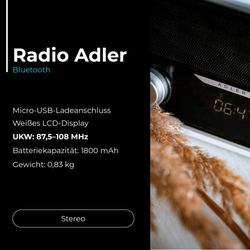 ADLER Home, kitchen, construction, and portable radios – AD 1185 Bluetooth Radio – image 19