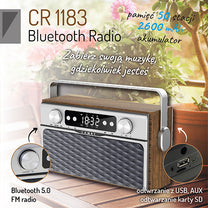 Home, kitchen, construction, and portable radios – CR 1183 Bluetooth Radio - Carlat