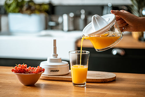 Juicers and Juice Extractors – MS 4010 Citrus Juicer - Carlat
