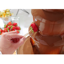 Kitchen Appliances – Chocolate fondue fountain 6 levels, steel, 300 - Carlat