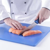 Kitchen Knives – HACCP kitchen fish knife 320mm - blue - Carlat