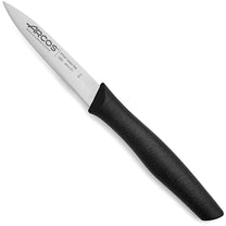 Kitchen Knives – NOVA pointed knife for peeling vegetables and - Carlat