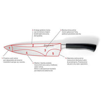 Kitchen Knives – Professional chef's knife forged from Profi Line - Carlat