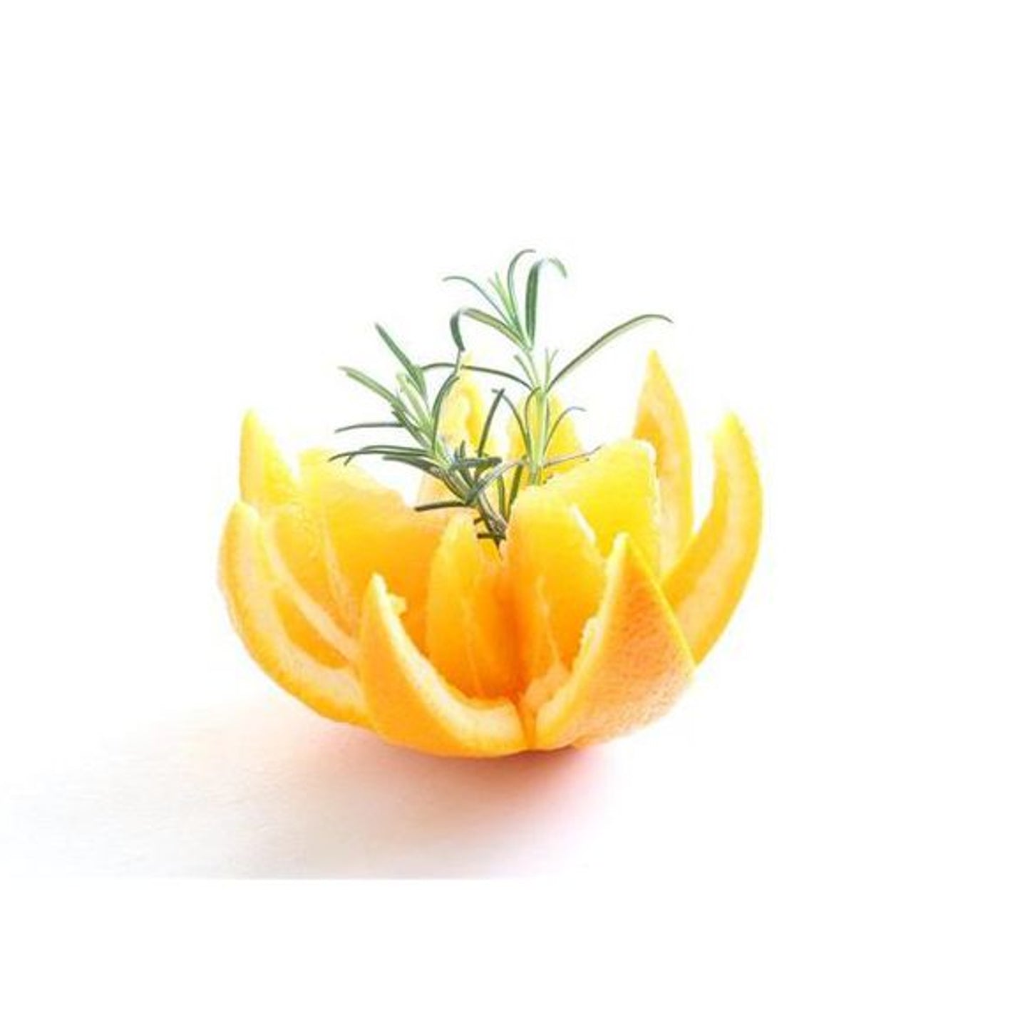 Kitchen Knives – Stainless steel citrus knife - Hendi 856185 - Carlat