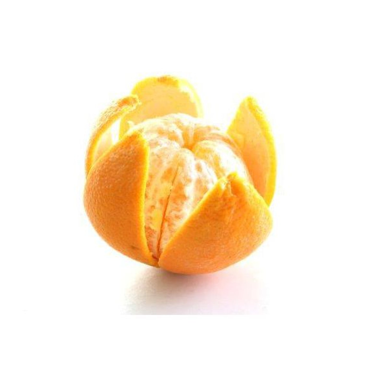 Kitchen Knives – Stainless steel citrus peeling knife - Hendi - Carlat