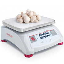 Kitchen Scales – Auxiliary control catering scale VALOR 1000 30kg - Carlat