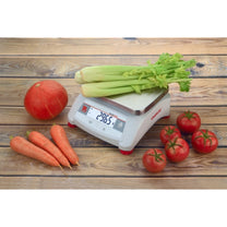 Kitchen Scales – Auxiliary control catering scale VALOR 1000 30kg - Carlat