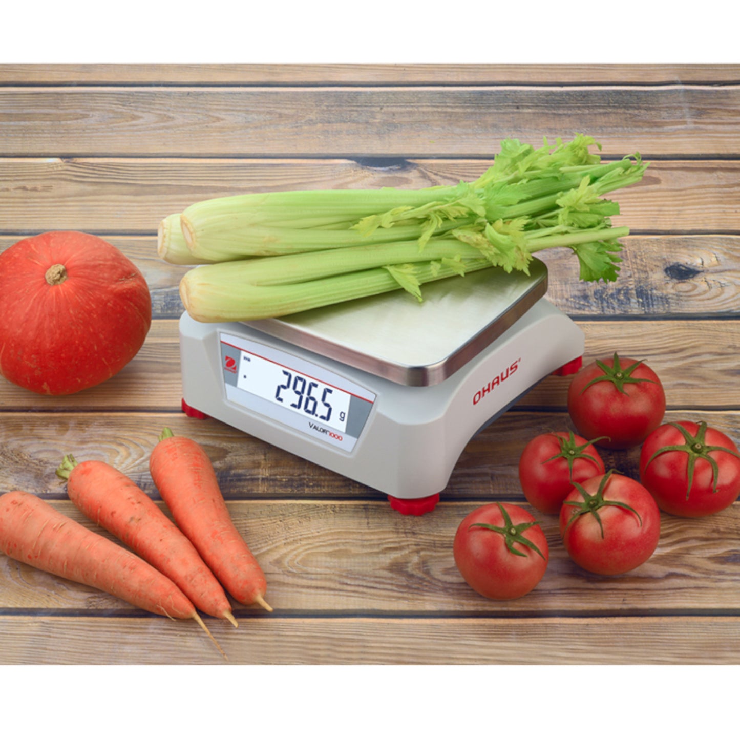 Kitchen Scales – Gastronomic kitchen scale with legalization OHAUS VALOR - Carlat