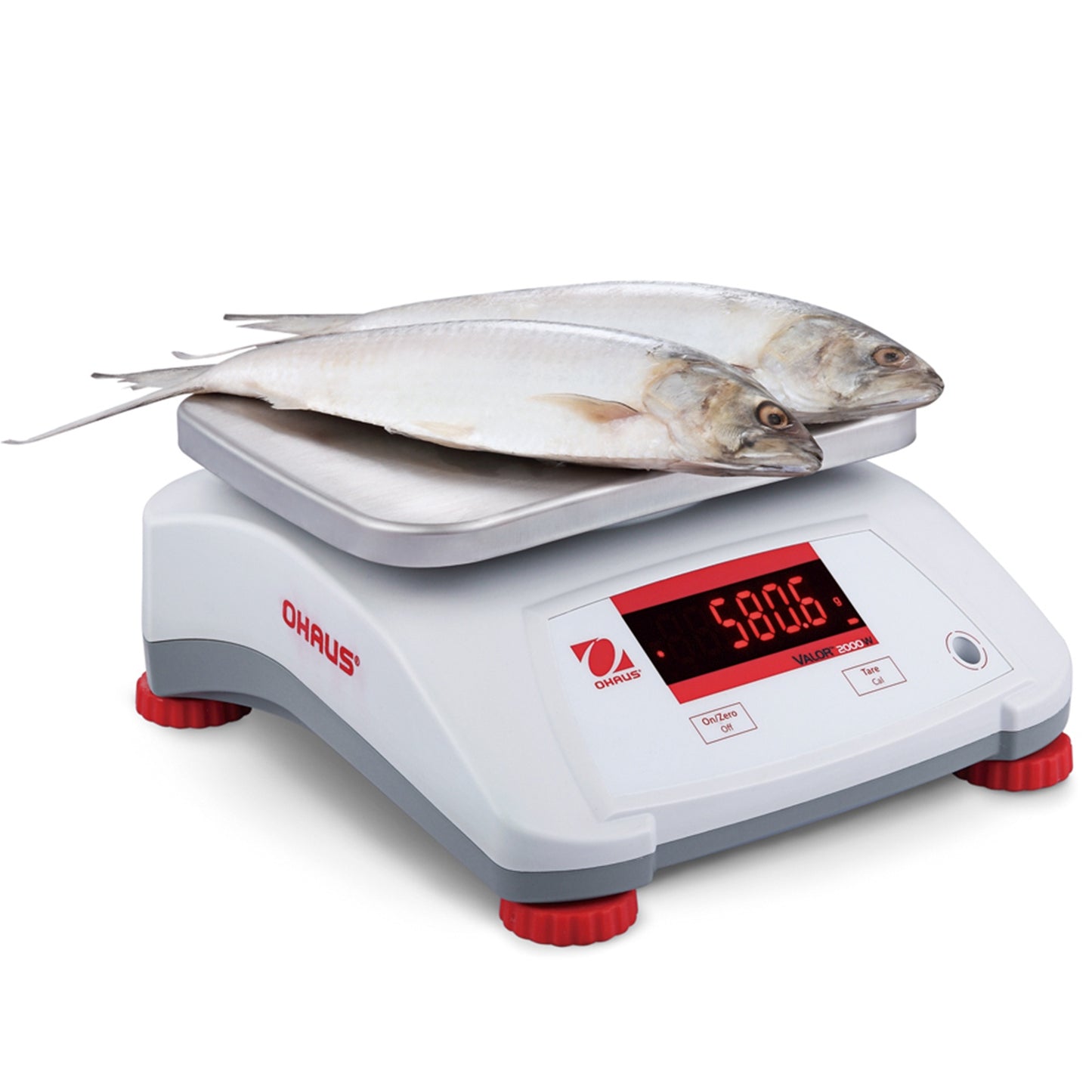 Kitchen Scales – Kitchen check scale waterproof IP68 VALOR 2000 - Carlat