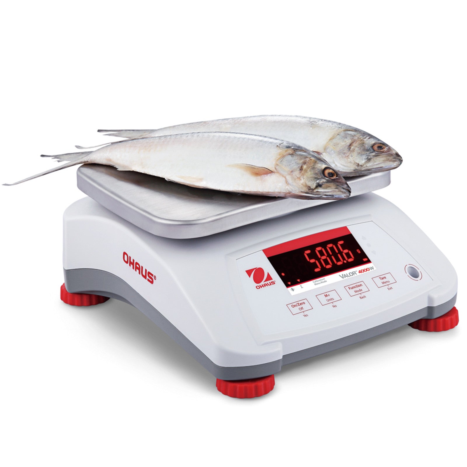 Kitchen Scales – VALOR 4000 scale with legalization for kitchen, - Carlat