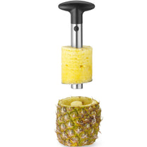 Kitchen Tools & Utensils – Manual slicer and pineapple cutter - Carlat