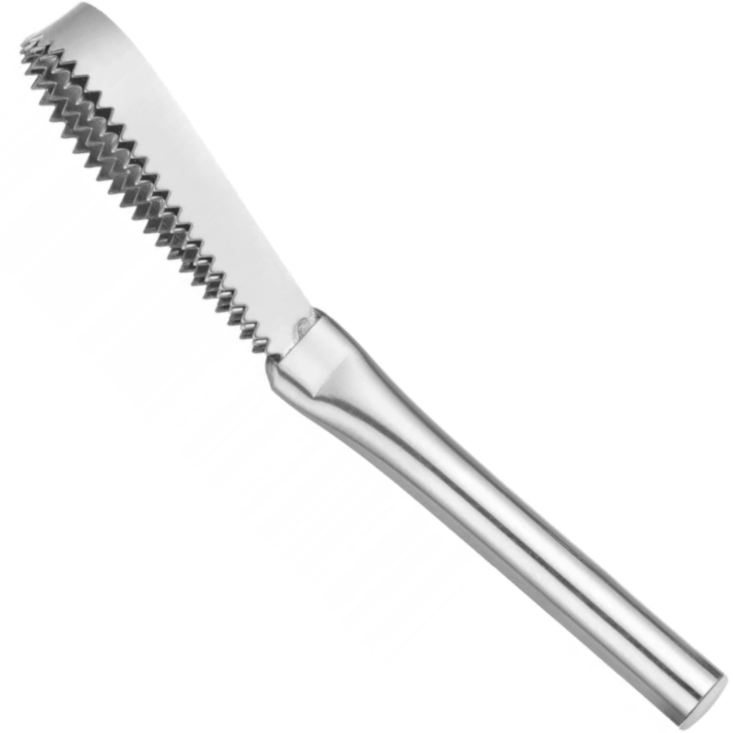 Kitchen Tools & Utensils – Steel scraper for removing fish - Carlat