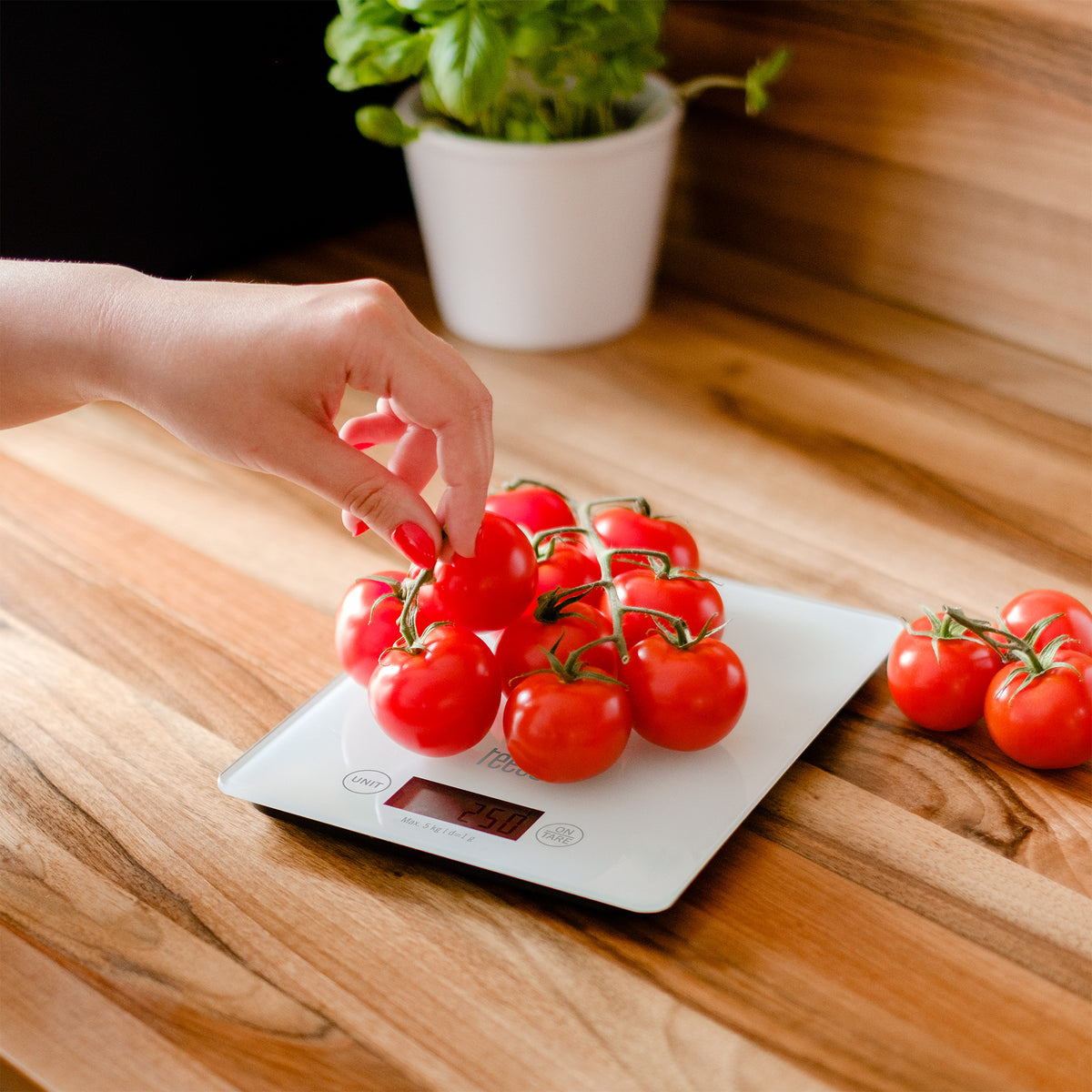 Kitchen scales – White Glass Kitchen Scale - Carlat