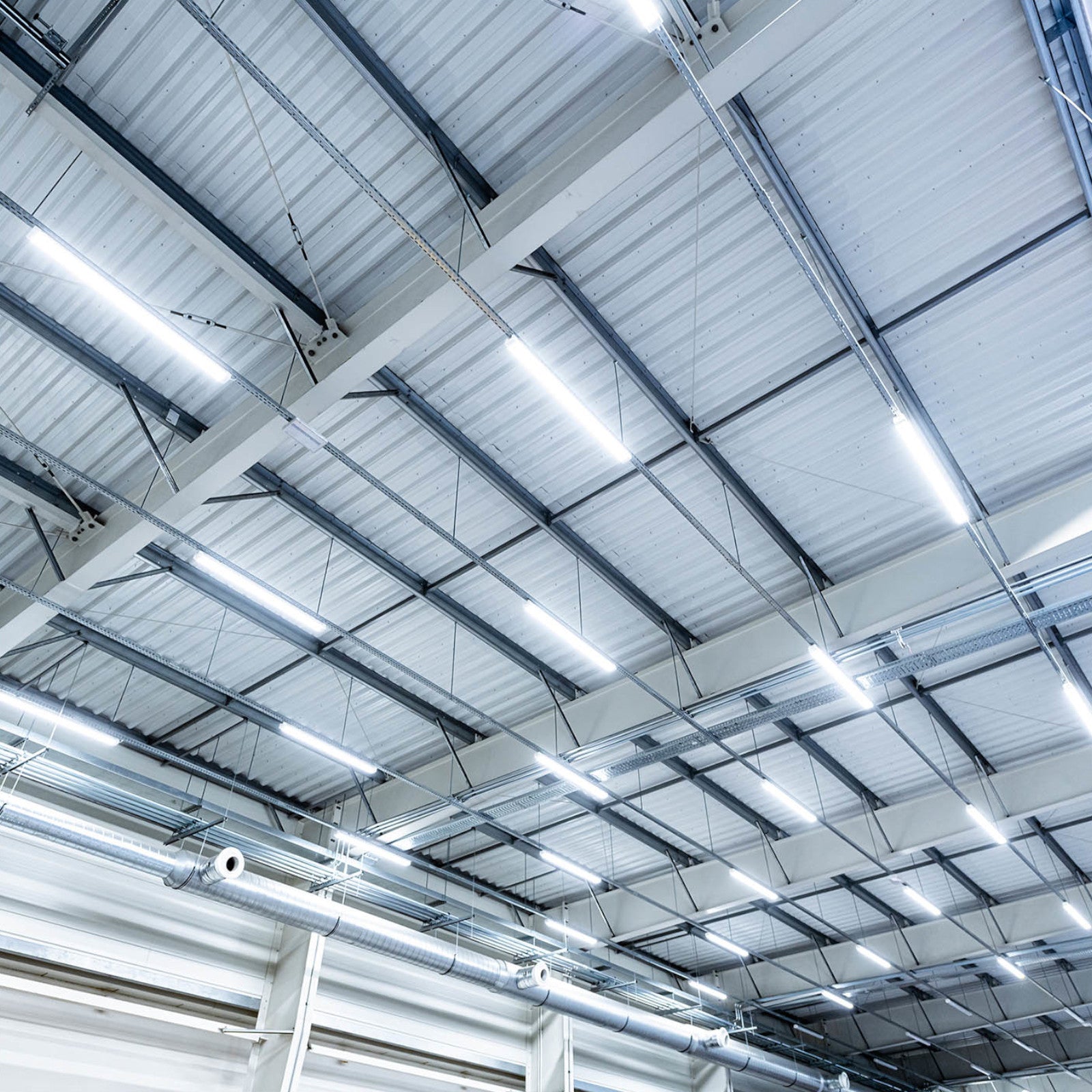 LED lamp waterproof airtight for storage in the chicken house IP65 4400 lm 120 cm 40 W - Carlat