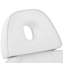 Massage Tables – Adjustable cosmetic chair for tattoo massage treatments, - Carlat
