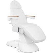 Massage Tables – Spa massage tattoo chair with remote control - Carlat